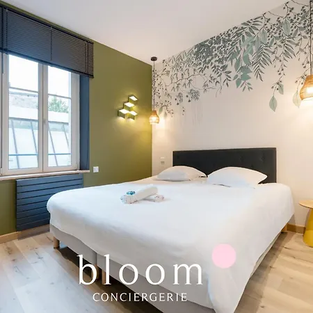 Апартаменты Le Somptueux De La Croix De Bourgogne *