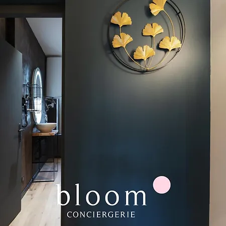 Le Somptueux De La Croix De Bourgogne Apartment Nancy